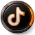 TikTok Icon