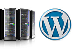 Wordpress Hosting